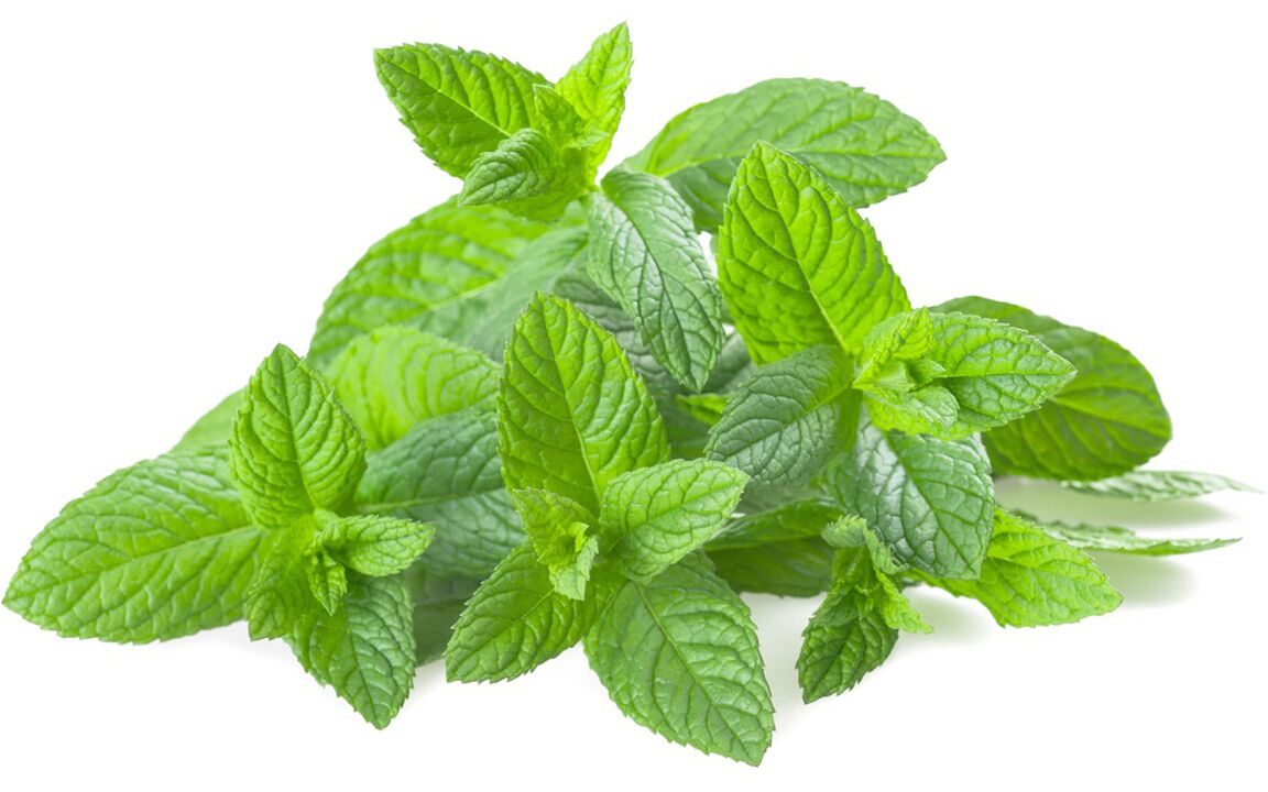 Mint oil in Hondrolife