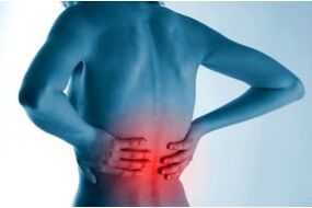 Site of spinal osteochondrosis.